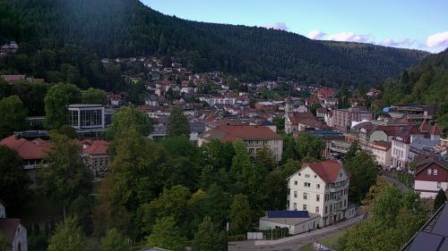 Webcam Bad Wildbad