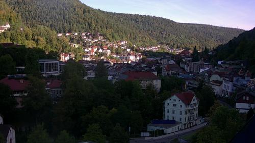 Webcam Bad Wildbad