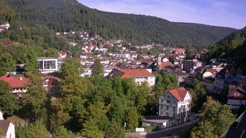 Webcam Bad Wildbad