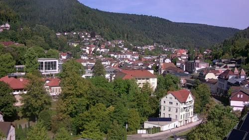 Webcam Bad Wildbad