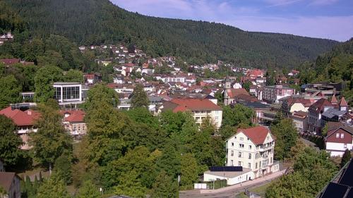 Webcam Bad Wildbad