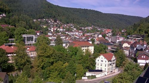 Webcam Bad Wildbad