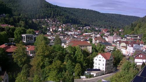 Webcam Bad Wildbad
