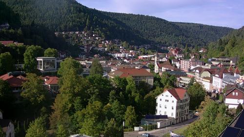 Webcam Bad Wildbad
