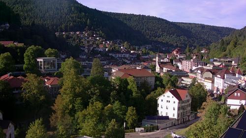Webcam Bad Wildbad