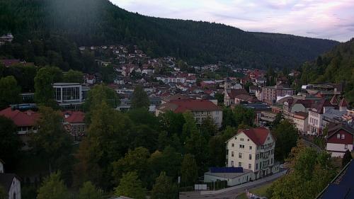 Webcam Bad Wildbad
