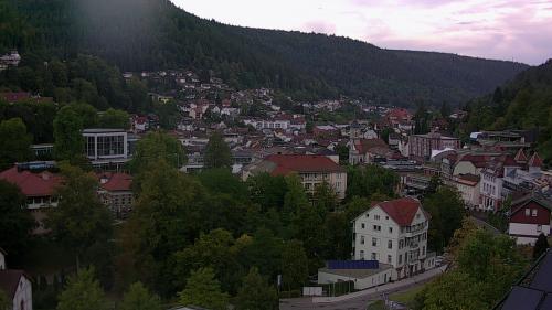 Webcam Bad Wildbad