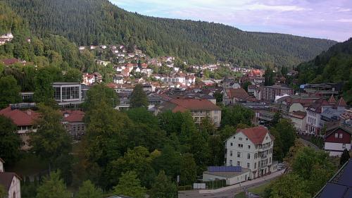 Webcam Bad Wildbad