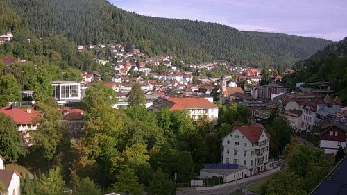 Webcam Bad Wildbad