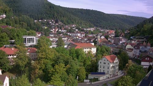 Webcam Bad Wildbad