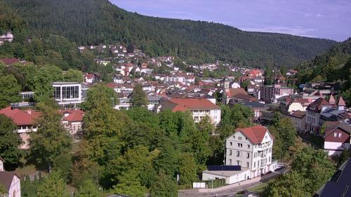 Webcam Bad Wildbad