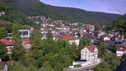 Webcam Bad Wildbad