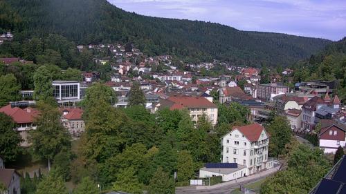 Webcam Bad Wildbad