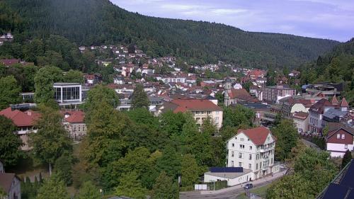 Webcam Bad Wildbad