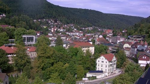 Webcam Bad Wildbad