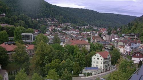 Webcam Bad Wildbad