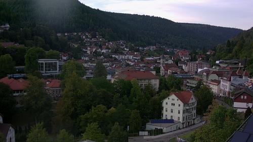 Webcam Bad Wildbad