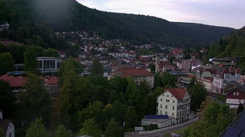 Webcam Bad Wildbad