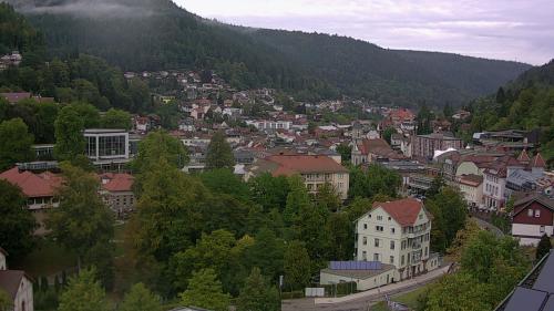 Webcam Bad Wildbad