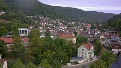 Webcam Bad Wildbad