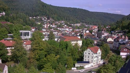 Webcam Bad Wildbad