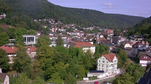 Webcam Bad Wildbad