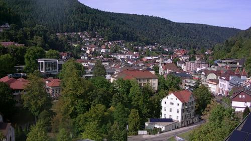 Webcam Bad Wildbad
