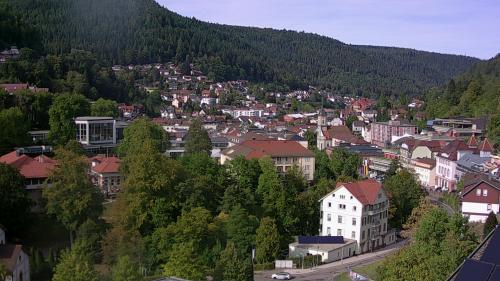 Webcam Bad Wildbad