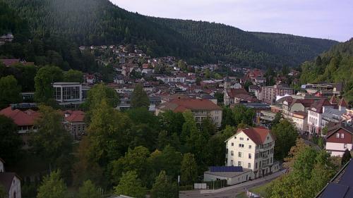 Webcam Bad Wildbad