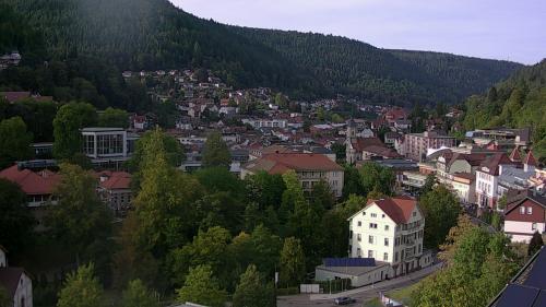 Webcam Bad Wildbad