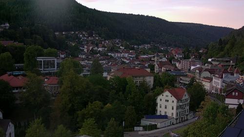 Webcam Bad Wildbad