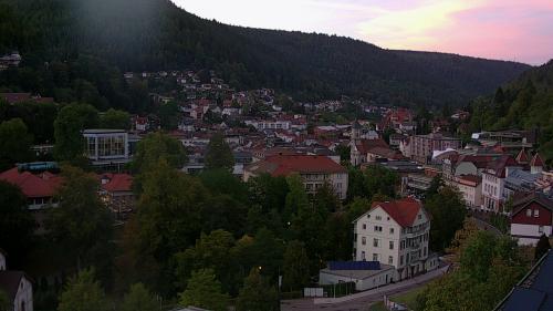 Webcam Bad Wildbad