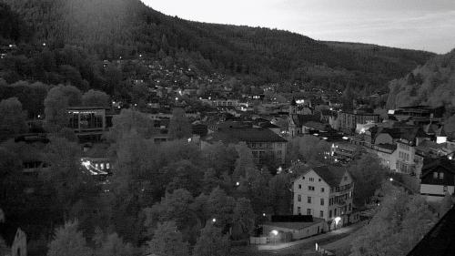 Webcam Bad Wildbad