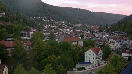 Webcam Bad Wildbad