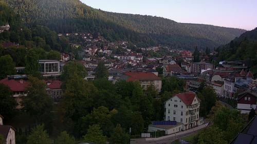 Webcam Bad Wildbad