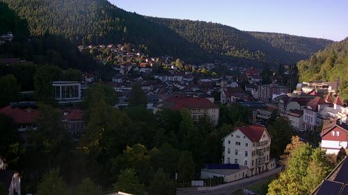 Webcam Bad Wildbad