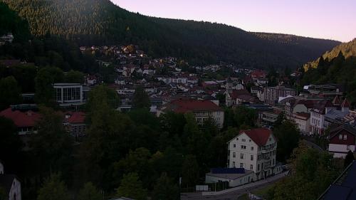 Webcam Bad Wildbad