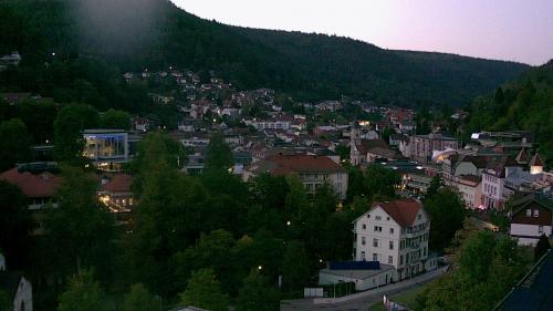 Webcam Bad Wildbad