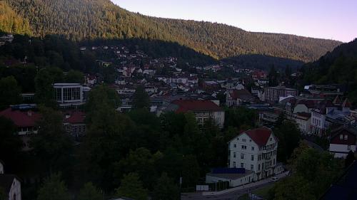 Webcam Bad Wildbad