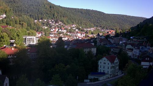 Webcam Bad Wildbad