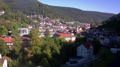 Webcam Bad Wildbad