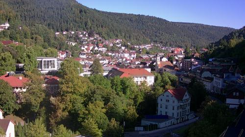 Webcam Bad Wildbad