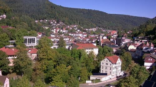 Webcam Bad Wildbad