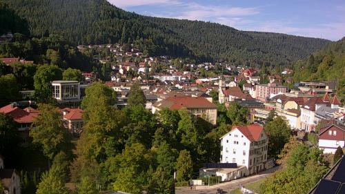 Webcam Bad Wildbad