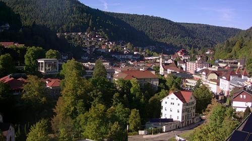 Webcam Bad Wildbad