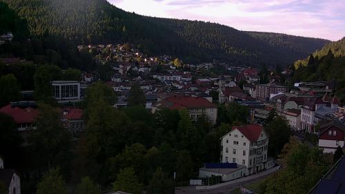 Webcam Bad Wildbad