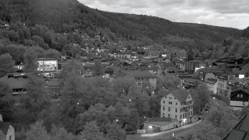 Webcam Bad Wildbad