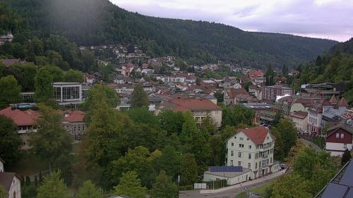 Webcam Bad Wildbad