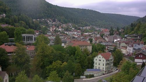 Webcam Bad Wildbad