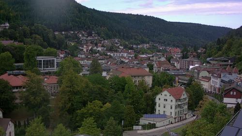 Webcam Bad Wildbad
